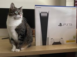Sony показали як правильно використовувати PlayStation 5